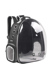 Travel Gear